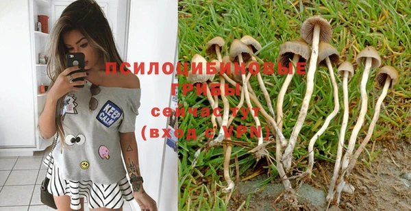 спайс Горняк